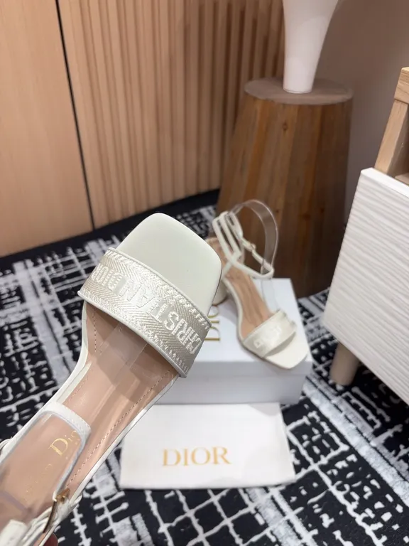 Dior Shoe 